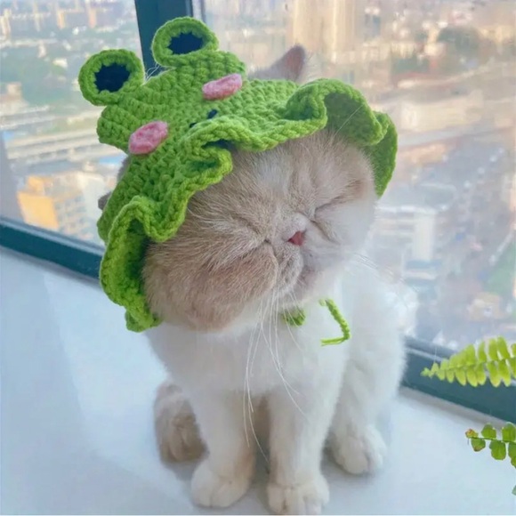 Crochet Green Frog Hat for Small Pets, Cat or Dog - Picture 10 of 16